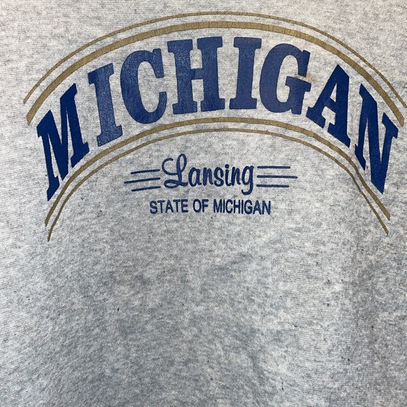 Michigan Lansing state of Michigan SHEIN grey crop sweatshirt size Large - Picture 3 of 5